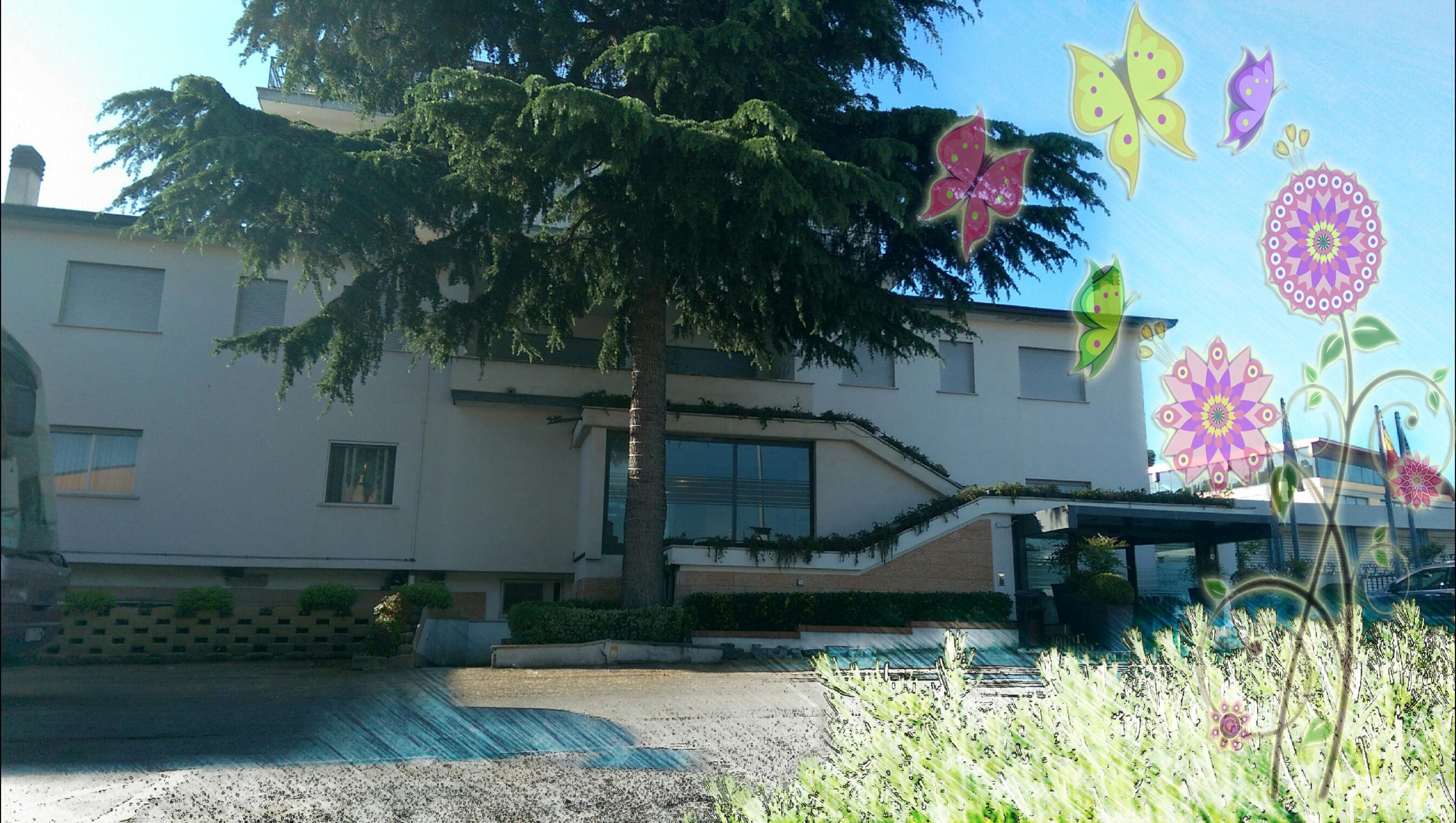 Hotel Meeting Ciampino Exterior photo